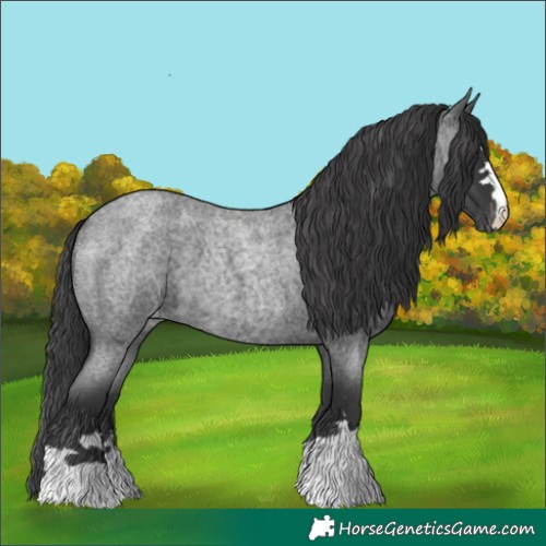 Horse Color:Blue Roan Varnish 