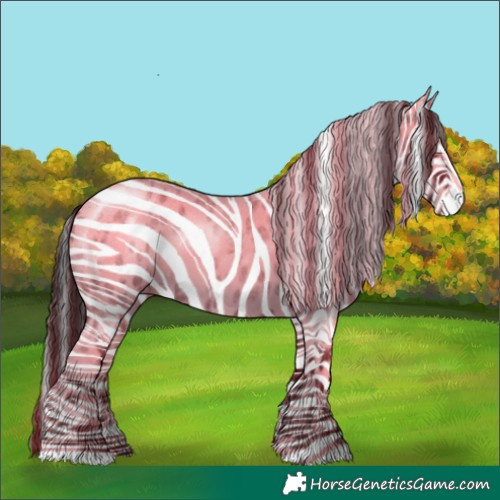 Horse Color:Blue Roan Appaloosa