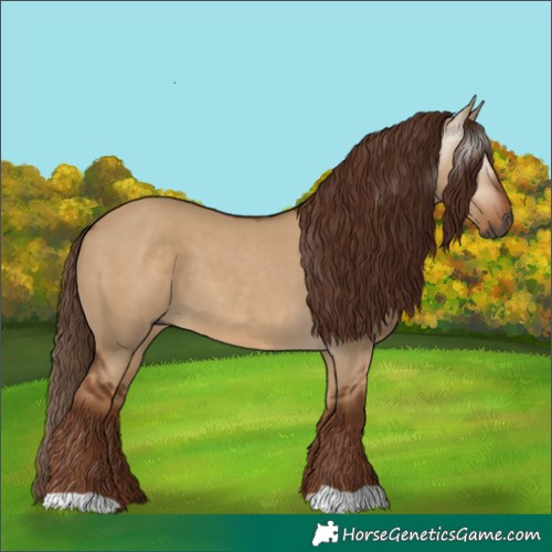 Horse Color:Gray Red Dun 