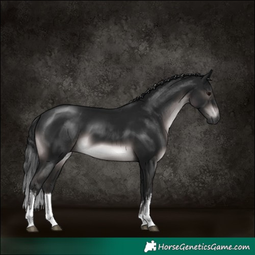 Horse Color:Gray Platinum White Spotted Brown 