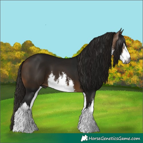 Horse Color:Gray White Spotted Buckskin