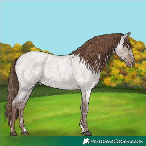 Horse Color:Liver Red Dun Ice Roan Rabicano 