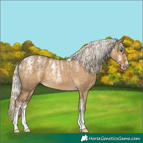 Horse Color:Powder White Chocolate Palomino Dun 