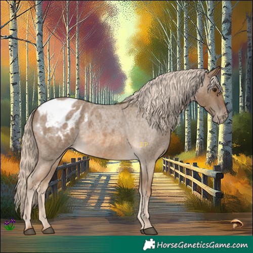 Horse Color:Chocolate Palomino Roan Blanket 