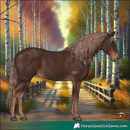 Horse Color:Liver Chestnut 