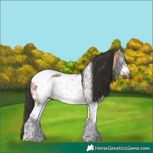 Horse Color:White Spotted Bay Dun Tobiano Frame Rabicano 