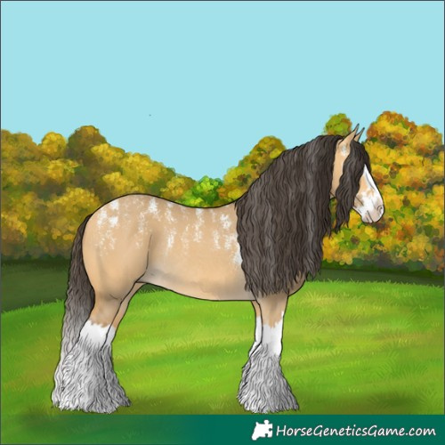 Horse Color:Powder White Buckskin Dun Splash Rabicano 