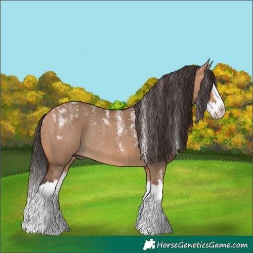 Horse Color:Powder White Bay Dun Splash Rabicano 