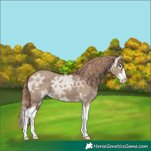 Horse Color:Liver Red Dun Ice Splash 