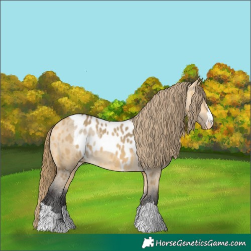 Horse Color:Buckskin Dun Skewed LP Spotted 