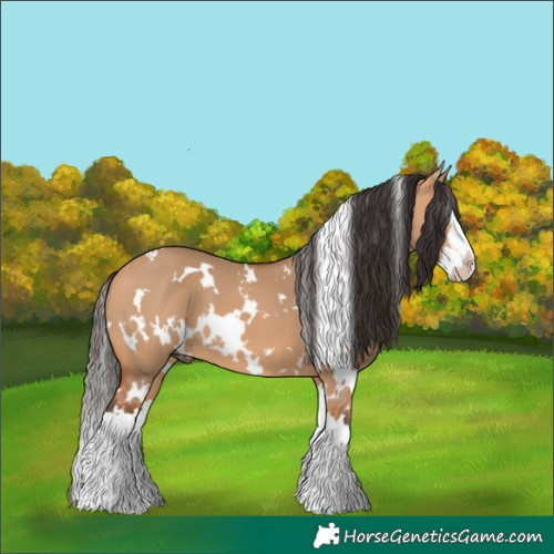 Horse Color:White Spotted Bay Dun Splash 