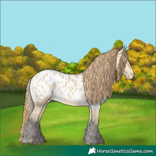 Horse Color:Sable Cream Champagne Dun Skewed LP Spotted 