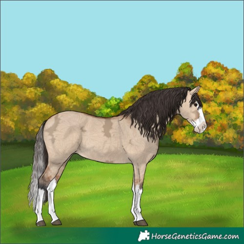 Horse Color:Bay Ice Dun Splash 
