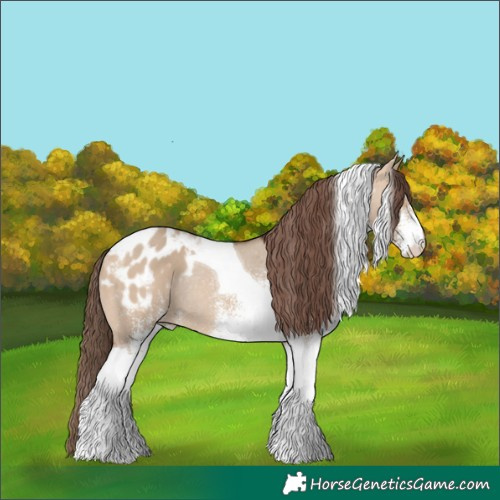 Horse Color:White Spotted Bay Dun Tobiano Blanket Rabicano 