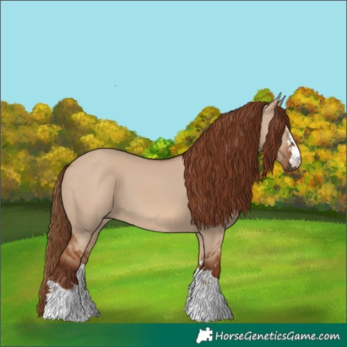 Horse Color:Red Dun 