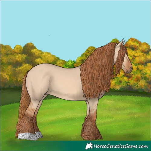 Horse Color:Red Dun 