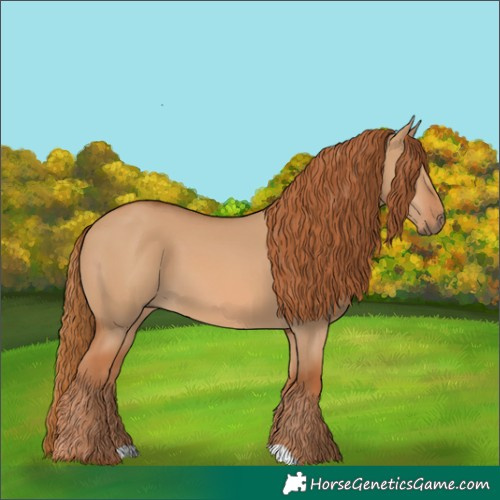 Horse Color:Red Dun 