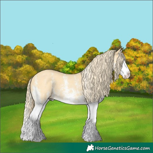 Horse Color:White Spotted Palomino Dun Splash 