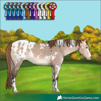 Horse Color:White Spotted Bay Dun Mushroom Blanket