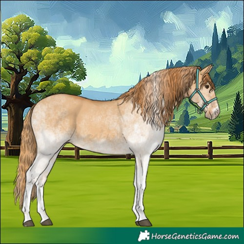 Horse Color:White Spotted Red Dun