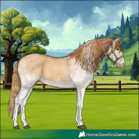 Horse Color:White Spotted Red Dun 