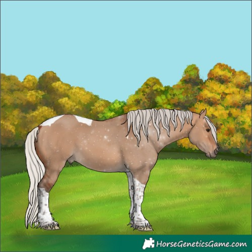Horse Color:Silver Bay Dun Tobiano 