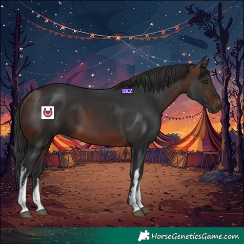 Horse Color:White Spotted Brown 