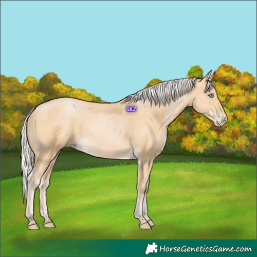 Horse Color:Silver Buckskin Pearl Rabicano 