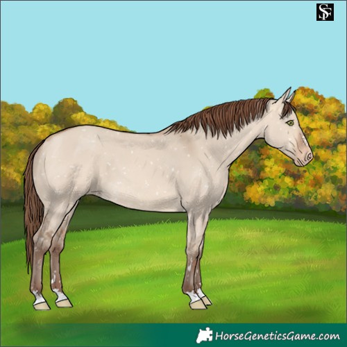 Horse Color:Amber Champagne Dun Snowflake Varnish 