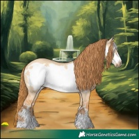 Horse Color:Red Dun Frame Rabicano 