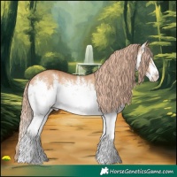 Horse Color:White Spotted Red Dun Rabicano Brindle 