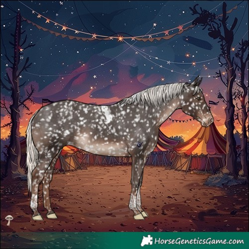 Horse Color:Liver Chestnut Mushroom Tobiano Appaloosa Rabicano 