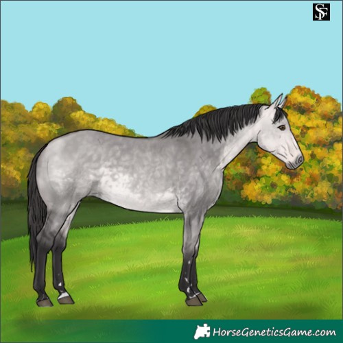 Horse Color:Platinum Buckskin Dun 