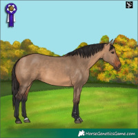 Horse Color:Bay Dun