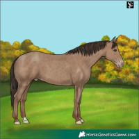 Horse Color:Classic Champagne 
