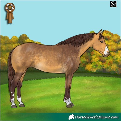 Horse Color:Chocolate Buckskin 