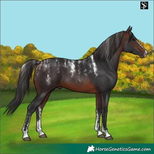 Horse Color:Powder White Brown 