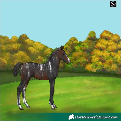 Horse Color:Powder White Brown 