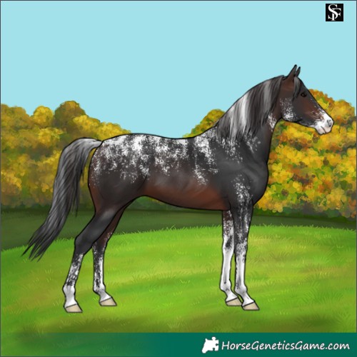 Horse Color:Powder White Brown 