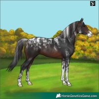 Horse Color:Powder White Brown