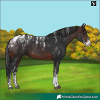 Horse Color:Powder White Brown 