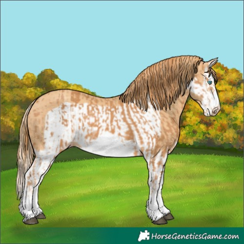 Horse Color:Chestnut Splash Frame  and Gold Champagne Splash Frame 