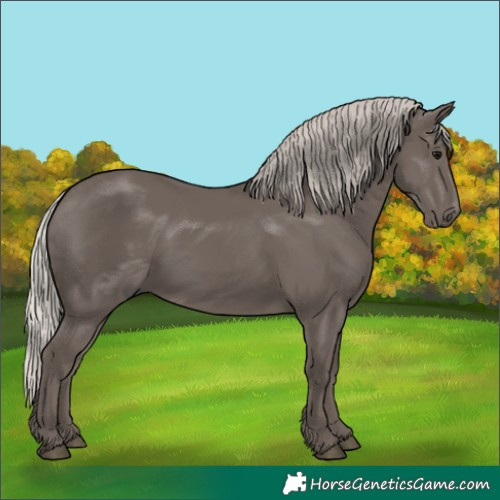 Horse Color:Silver Black 