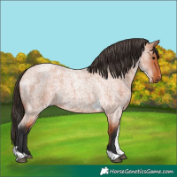 Horse Color:Bay Roan Tobiano 