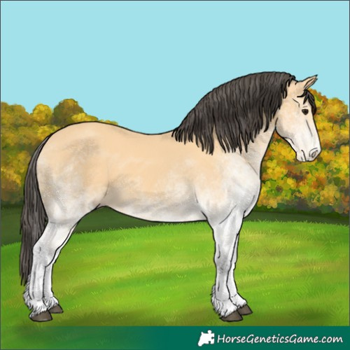 Horse Color:White Spotted Buckskin