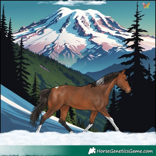 Horse Color:Bay Tobiano 
