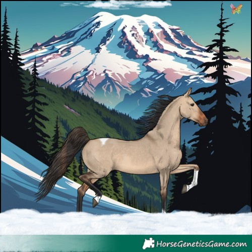 Horse Color:Bay Dun Tobiano 