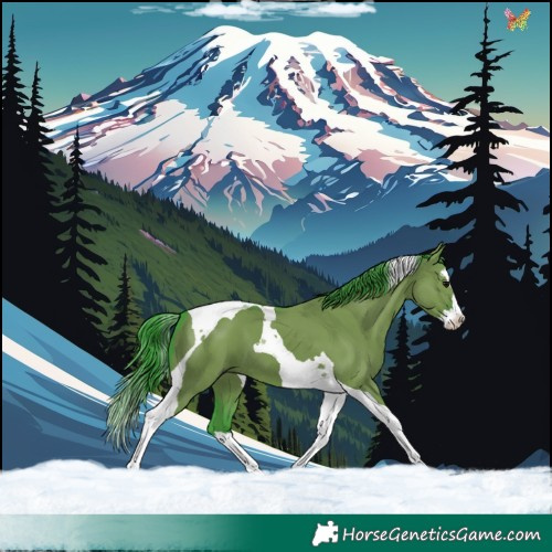 Horse Color:Watercolor Grullo Splash Tobiano 