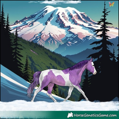 Horse Color:Watercolor White Spotted Bay Dun Splash Tobiano 