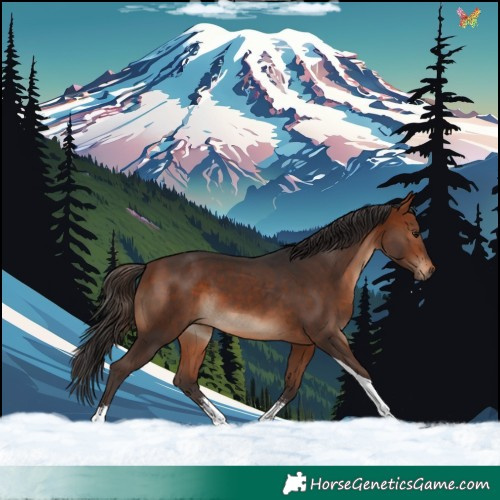 Horse Color:Bay Sabino Tobiano 